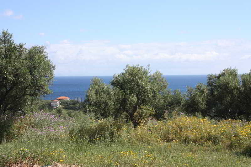 Lofos Soilis Aparthotel Tragaki Exterior photo